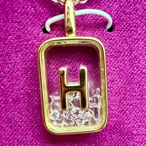 NWT A New Day 14K Gold Dipped Initial Shaker Necklace (A–Z) Cubic Zirconia - Picture 7 of 9